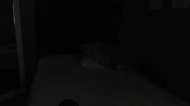 Vic Taylor online show from 7, 11, 2025