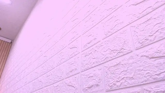 kat 96  online show from 27, 2, 2026