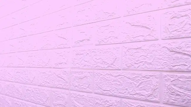 kat 96  online show from 24, 2, 2026