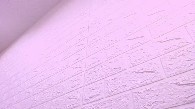 kat 96  online show from 20, 2, 2026