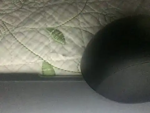 paula19800 online show from 3, 10, 2025