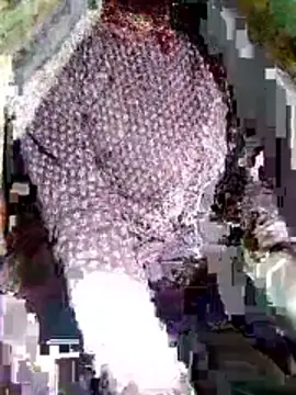 Cuty kinjal online show from 2, 2, 2026