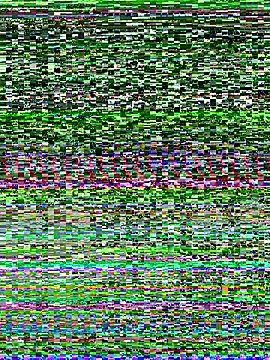 Mai lovely online show from 5, 11, 2025