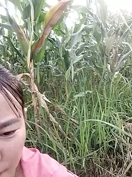 Meomeo-meo online show from 29, 10, 2025