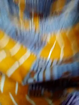 tamil Boomika online show from 23, 12, 2025