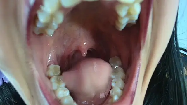 Hinata 21  online show from 7, 1, 2026