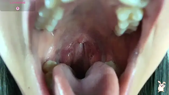 Hinata 21  online show from 22, 12, 2025