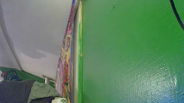 HippieDad333 online show from 11, 11, 2025