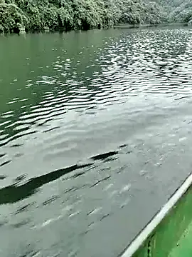 Lie liee online show from 24, 10, 2025