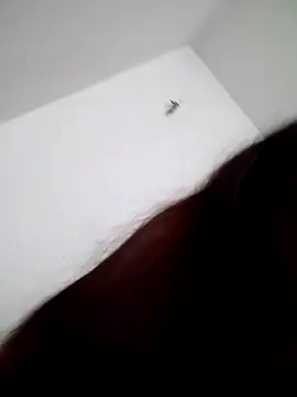 MamyRico online show from 11, 10, 2025