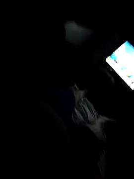 TricolorSuit2822 online show from 25, 3, 2026