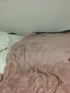 june cat online show from 29, 10, 2025