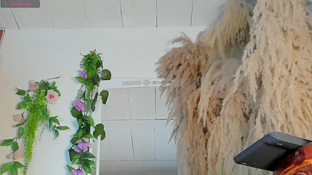 Tiffany deluxe online show from 27, 9, 2025