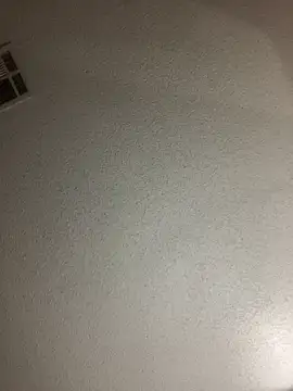 BuzzBunni69 online show from 26, 10, 2025