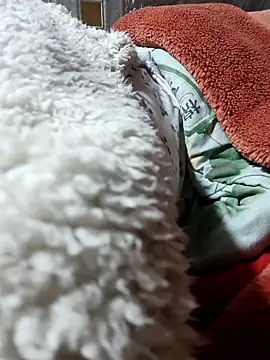 Paul-paul11 online show from 7, 1, 2026