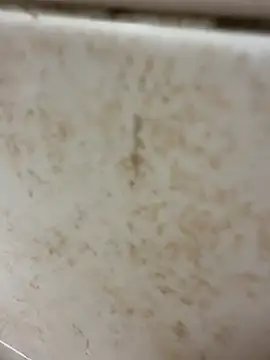 Snapshot of Bryan_1111 chatting on 4, 11, 2025 Bryan 1111 online show from 4, 11, 2025