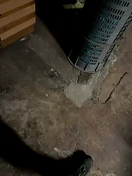 Snapshot of gptre chatting on 4, 10, 2025 gptre online show from 4, 10, 2025