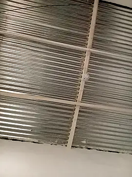 kingbickcockDn online show from 23, 11, 2025