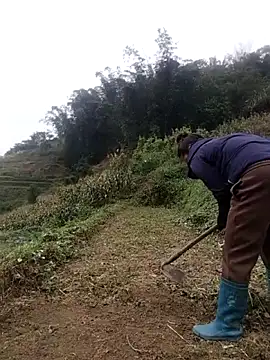 zhen-zo online show from 31, 10, 2025