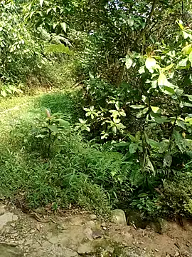 nhinhi-sexy online show from 10, 10, 2025