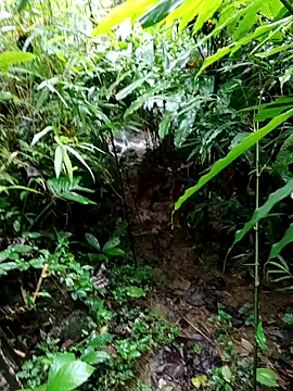 nhinhi-sexy online show from 4, 10, 2025