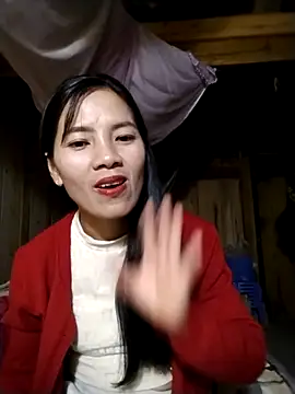 lmc-zz online show from 23, 11, 2025