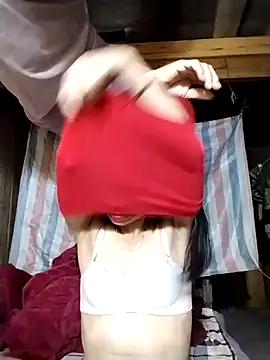 lmc-zz online show from 17, 11, 2025