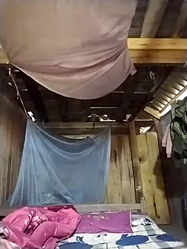 lmc-zz online show from 21, 10, 2025