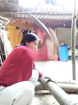 lmc-zz online show from 30, 11, 2025