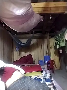 lmc-zz online show from 6, 11, 2025