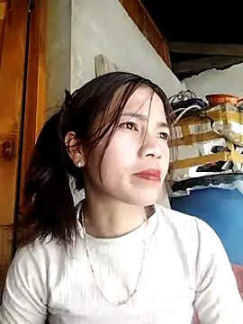 lmc-zz online show from 3, 3, 2026