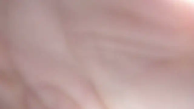 sackstor online show from 17, 9, 2025