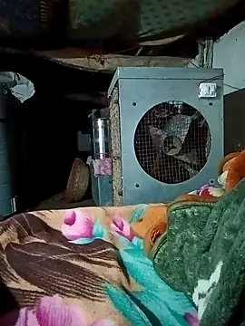 Snapshot of Lona2525 chatting on 16, 2, 2026 Lona2525 online show from 16, 2, 2026