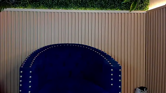 Snapshot of Dante_Dimarco chatting on 2, 10, 2025 Dante Dimarco online show from 2, 10, 2025