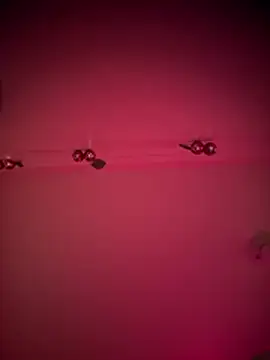 bellacagyal online show from 7, 1, 2026