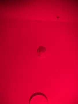 bellacagyal online show from 11, 2, 2026