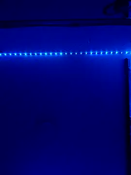 Taylor Sex6 online show from 12, 2, 2026