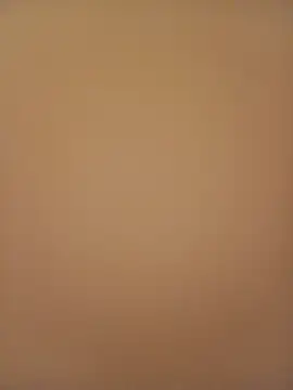 Snapshot of Sali_ji chatting on 21, 2, 2026 Sali ji online show from 21, 2, 2026