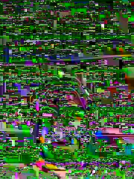 itsthecatchh online show from 7, 11, 2025