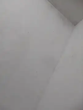 misteriosabb000 online show from 2, 10, 2025