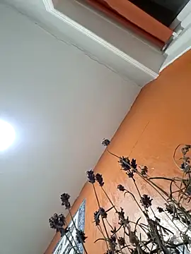 Hotboy-534 online show from 25, 3, 2026