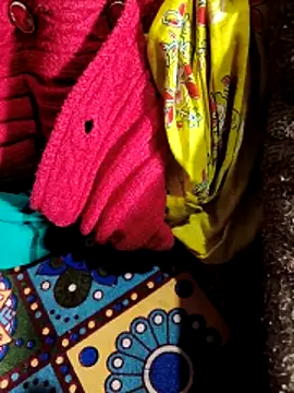 Your seema 208 online show from 23, 11, 2025