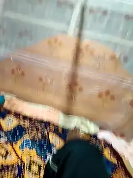 Your seema 208 online show from 25, 10, 2025