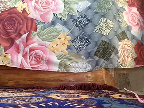 Your seema 208 online show from 19, 11, 2025