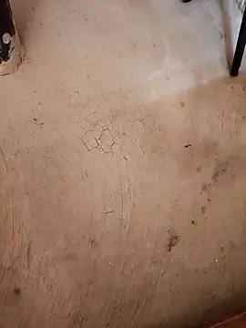 Your seema 208 online show from 17, 10, 2025