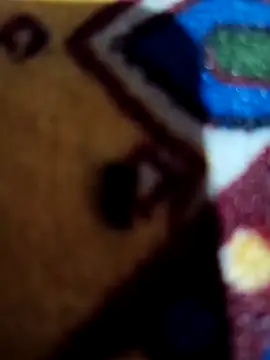 Your seema 208 online show from 16, 11, 2025