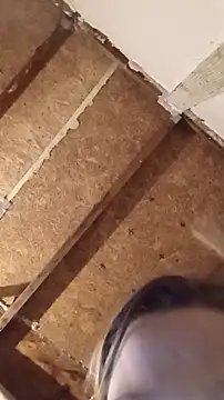 Queen2454 online show from 8, 3, 2026