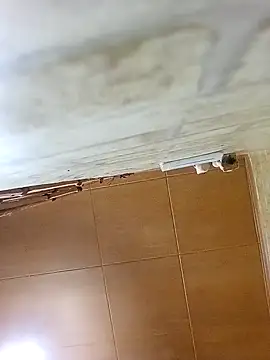 Apeesynka55211 online show from 19, 10, 2025