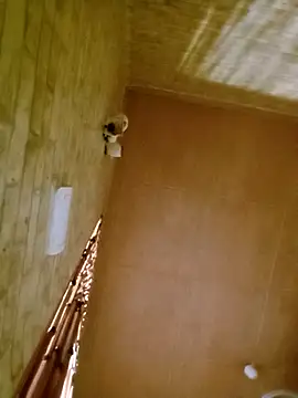 Apeesynka55211 online show from 1, 11, 2025