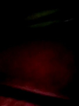 Snapshot of Apeesynka55211 chatting on 18, 1, 2026 Apeesynka55211 online show from 18, 1, 2026